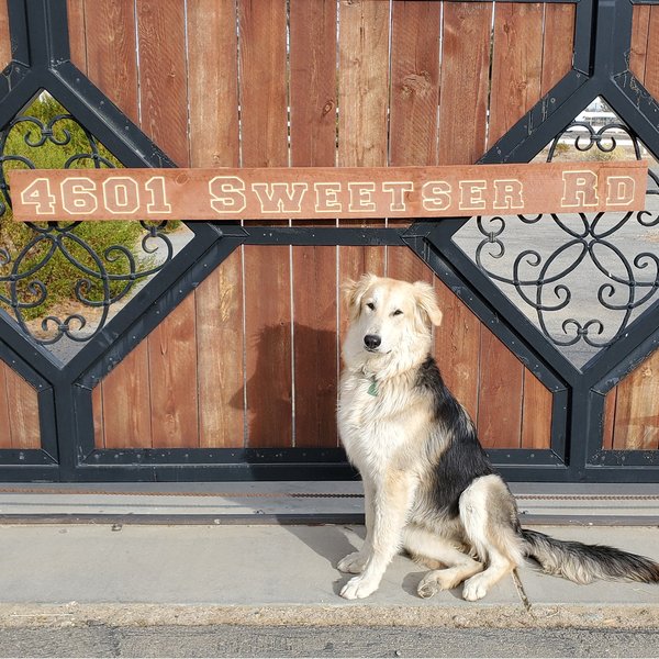 Custom Carved Redwood Address Sign with Optional Reflective Beads